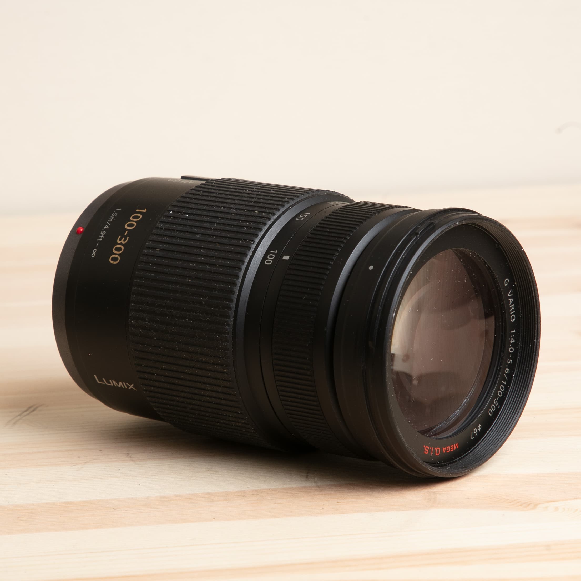 Panasonic Lumix G Vario 100-300mm f/4,0-5,6 OIS
